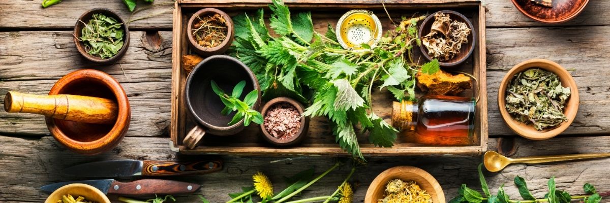Mevsimine Göre Tüketilmesi Gereken Şifalı Bitkiler