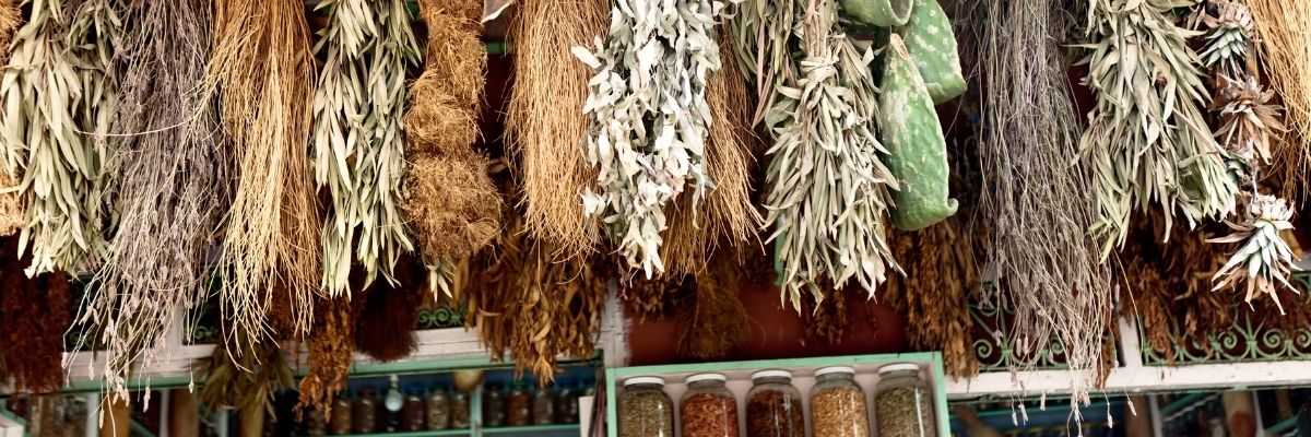 Şifalı Bitkiler Nasıl Kurutulur ve Saklanır