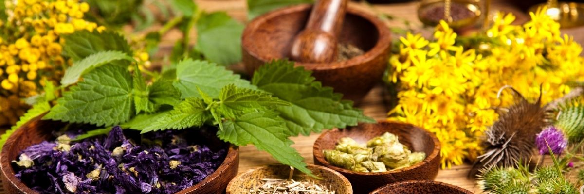 Şifalı Bitkiler Çay mı, Tentür mü Olarak Kullanılmalı