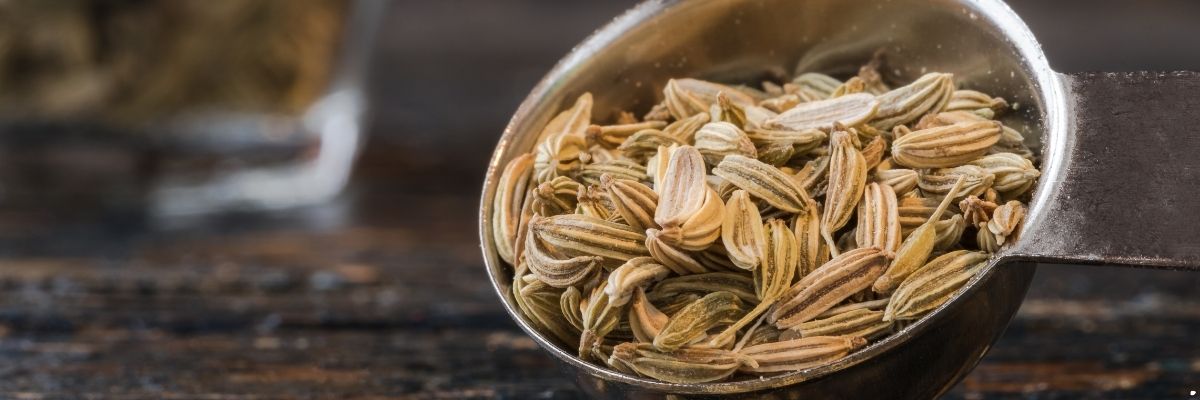 Rezene çayı nedir, nelerde kullanılır