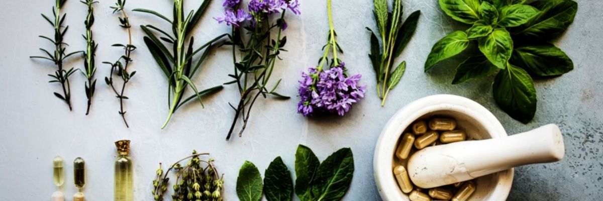 Karaciğer Sağlığını Destekleyen Şifalı Bitkiler