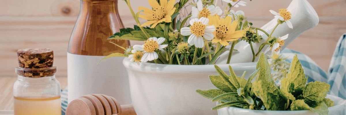 Alerjiye Bitkisel Çözümler