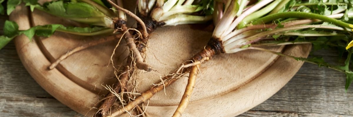 Bitkisel Detoks Rehberi