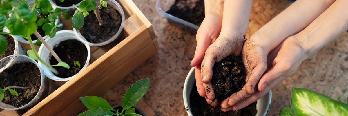 Mikrobiyota Dostu Bitkiler