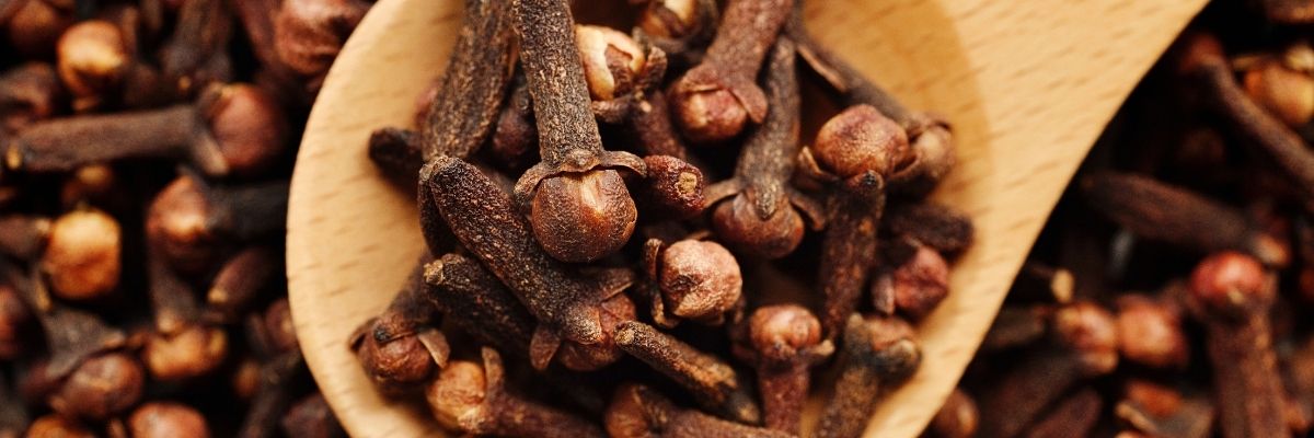 Karanfilin Bilinmeyen Faydaları ve Kullanım Şekilleri