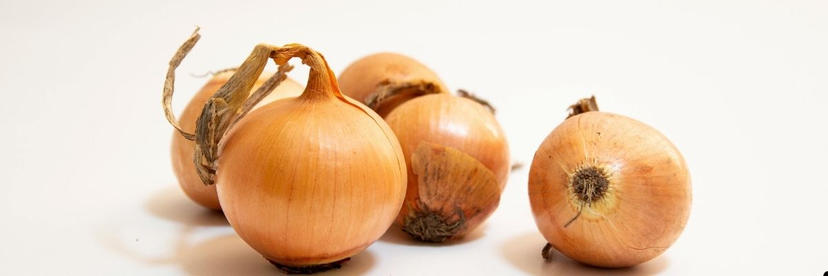 Soğan Kabuğunun Şifalı Etkileri Nelerdir