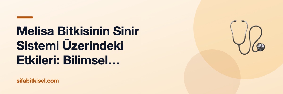 Melisa Bitkisinin Sinir Sistemi Üzerindeki Etkileri: Bilimsel Kanıtlar ve Kullanım Rehberi